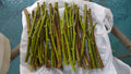 Hardy Chicago Organic Fig Tree Cuttings - 6 Branches - Ficus carica