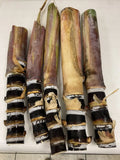 Rare Purple Sugarcane Cuttings - Heirloom Fresh Planting Stock - Ready to Ship - Florida Grown