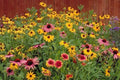 Wildflower Mix Seeds - Partial Shade Variety - Fresh Wildflower Seed Mix for Gardens - Native Flower Seed Blend