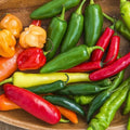 Hot Pepper Seeds Mix - 50+ Heirloom Varieties - Vibrant Colors - Capsicum Annuum