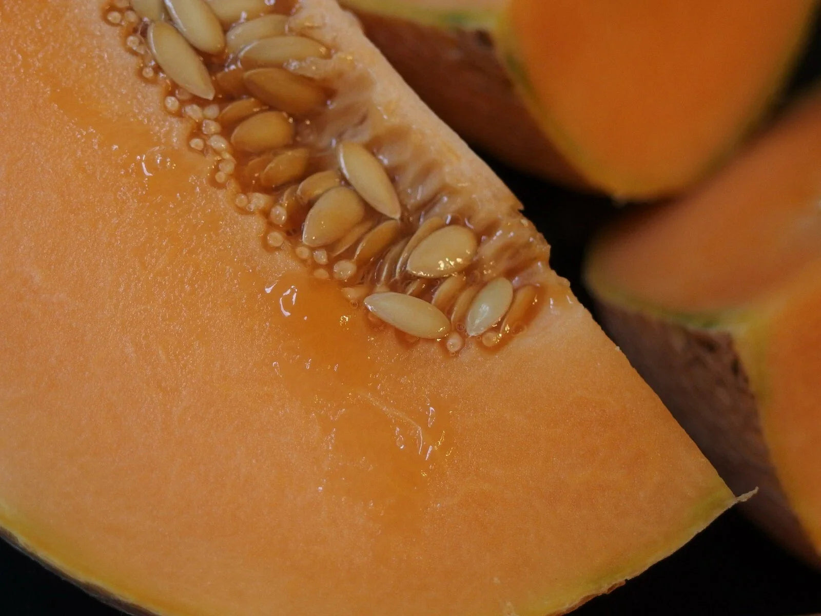 Organic Midget Melon Cantaloupe Seeds 300+ Count - Cucumis melo - Fast Growing, Sweet Flavor - Free Shipping US Seller