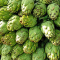 Artichoke Seeds 25 Pack Green Globe Non-GMO Vegetable Garden Seeds Cynara scolymus USA Free Shipping