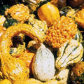 Gourd Seed Mix 20+ Seeds - Non-GMO Heirloom Variety - Decorative & Edible Gourds - Cucurbita spp.