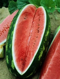 Congo Watermelon Seeds - 40 Organic Seeds - Citrullus lanatus - USA Grown, Free Shipping