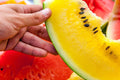 Moon and Stars Watermelon Seeds - 20+ Yellow Flesh - Non-GMO Heirloom - Fresh