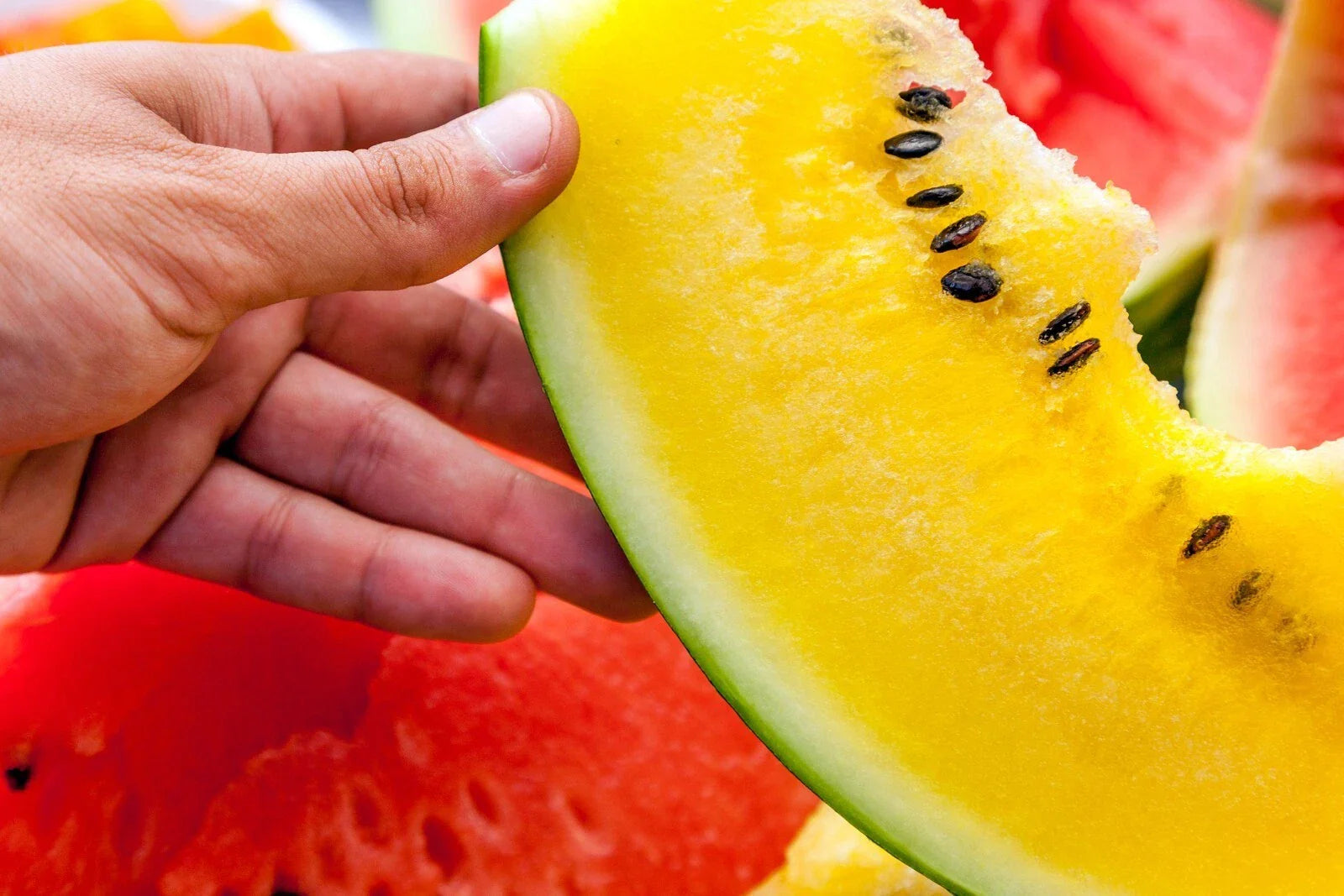 Moon and Stars Watermelon Seeds - 20+ Yellow Flesh - Non-GMO Heirloom - Fresh