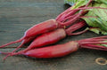 Cylindra Beet Seeds - 200+ Non-GMO Organic Open Pollinated - Beta vulgaris