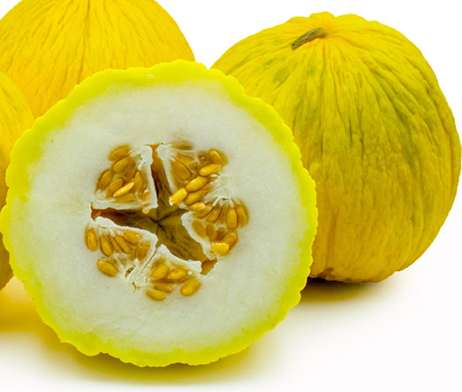Golden Beauty Casaba Melon Seeds - 30 Non-GMO Seeds - Heirloom Variety - Cucumis melo
