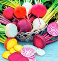 Rainbow Blend Beet Seeds - Non-GMO, 100+ Seeds, Assorted Colors - Beta vulgaris