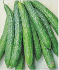 Dragon Suhyo Cross Cucumber Seeds - 25+ Pack - Heirloom Variety - Cucumis sativus - USA Grown