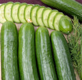 Cucumber Seeds 300 Count | Straight Eight Heirloom Vegetable | Award-Winning Variety | Cucumis sativus
