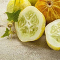 Lemon Cucumber Seeds - Heirloom Non-GMO Garden Seeds - Cucumis sativus - Tracking Included