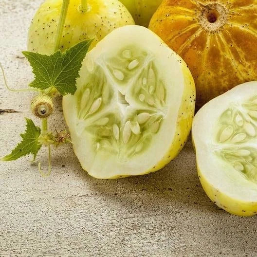 Lemon Cucumber Seeds - Heirloom Non-GMO Garden Seeds - Cucumis sativus - Tracking Included