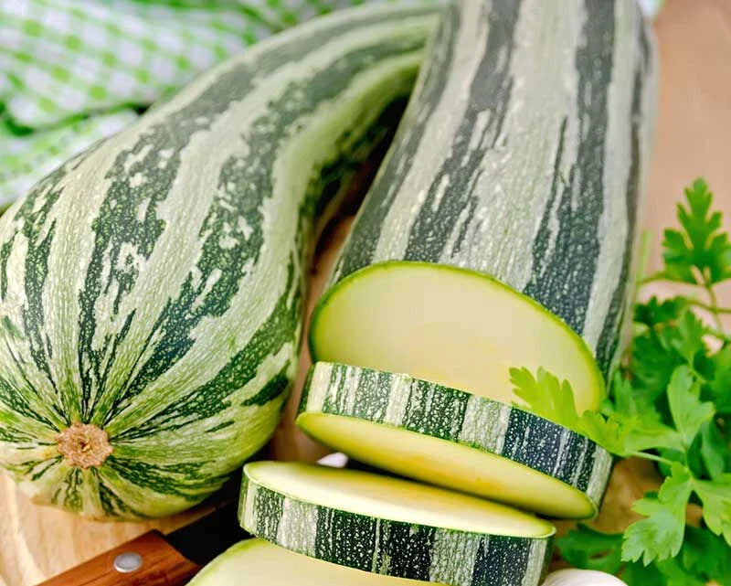 Cocozelle Squash Seeds - 25+ Pack for Garden Planting - Cucurbita pepo - Heirloom Variety, USA