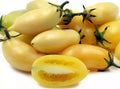 Cream Sausage Tomato Seeds - Heirloom Organic Non-GMO - 120+ Rare Seeds for Gardening (Solanum lycopersicum)