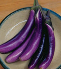 Long Purple Eggplant Seeds - 200 Non-GMO Open Pollinated - Solanum melongena