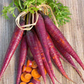 Cosmic Purple Carrot Seeds | Heirloom Non-GMO Variety | Organic Vegetable Seeds | Daucus carota