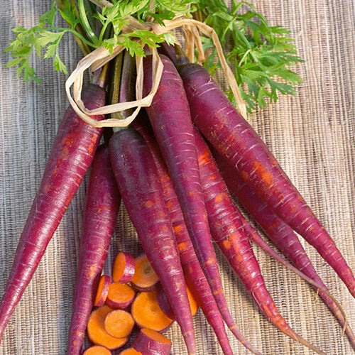 Cosmic Purple Carrot Seeds | Heirloom Non-GMO Variety | Organic Vegetable Seeds | Daucus carota