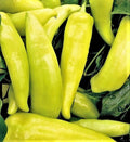 Hungarian Sweet Wax Pepper Seeds - NON-GMO - 100+ Seeds - Ideal for Gardens - Capsicum annuum