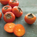 American Persimmon Seeds - 10 Count - Diospyros virginiana - Common Persimmon