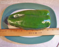 Big Bertha Sweet Pepper Seeds - 25+ Non-GMO Heirloom Seeds - Capsicum annuum - Fresh for Planting