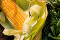 Bantam Sweet Corn Seeds - Heirloom Variety - Non-GMO - Zea mays - Ideal for Home Garden Planting
