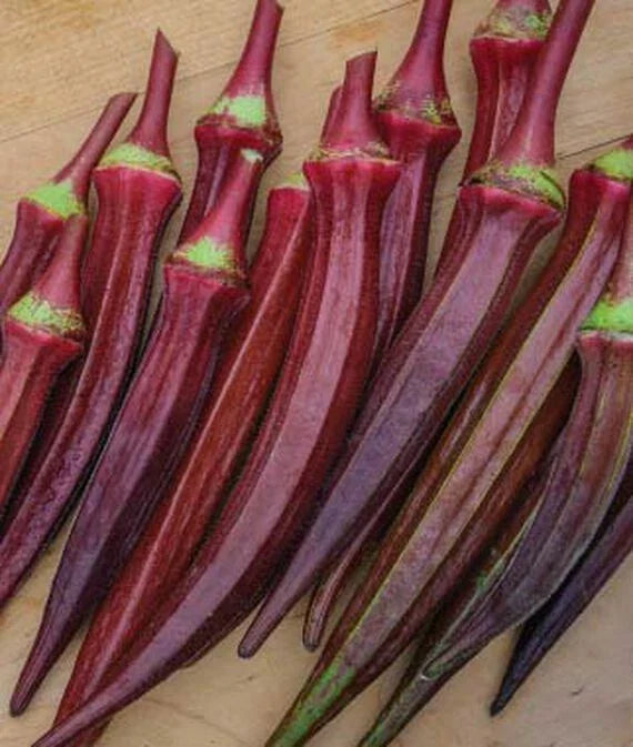Okra Seeds Red Burgundy AAS Winner 55 Seeds Edible Flowers & Fruit 6-8" Pods Jambalaya