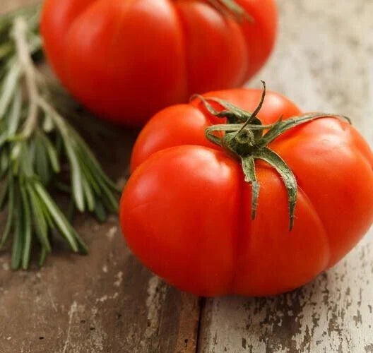 Heirloom Beefsteak Red Tomato Seeds - 25 Fresh Premium Seeds (Solanum lycopersicum)