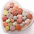Mixed Lithops Pseudotruncatella Seeds - 100pcs Living Stones Succulent Seeds for Indoor Gardening