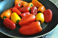 15+ Mini Sweet Snacking Pepper Seeds, NON-GMO, Sweet Apple Variety, Perfect for Home Gardening