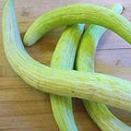 Serpent Armenian Cucumber Seeds - 20 Pack - Cucumis melo - Heirloom Variety - Organic Gardening Supplies