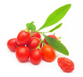 Goji Berry Seeds - 100+ Seeds - Exotic Fruit Tree - Lycium barbarum - Grow Your Own Superfood