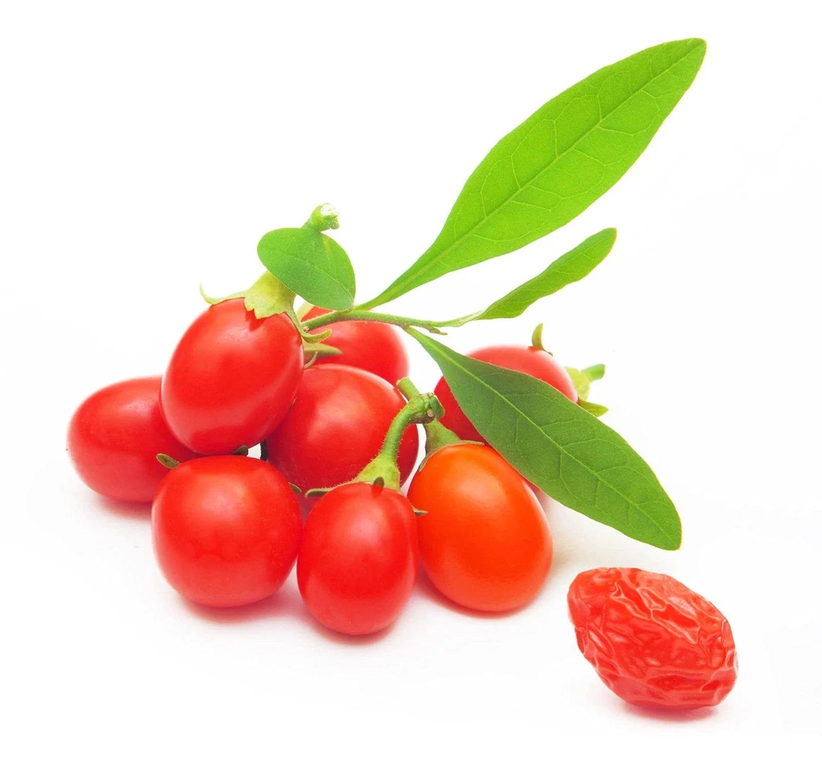 Goji Berry Seeds - 100+ Seeds - Exotic Fruit Tree - Lycium barbarum - Grow Your Own Superfood