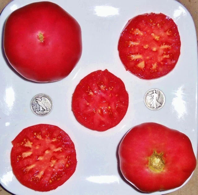 German Pink Tomato Seeds - +25 Fresh Seeds - Heirloom Variety for Garden Planting (Solanum lycopersicum)