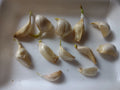 Organic Large Garlic Cloves Seeds for Planting - Allium sativum - 30+ Cloves, Hand-Harvested, Sproutable, Antioxidant-Rich