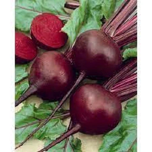 Organic Heirloom Detroit Red Beet Seeds - Premium Fresh Variety - Non-GMO, High Germination, Great for Home Gardens
