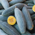 Guatemalan Blue Squash Seeds - Fresh Heirloom Vegetable Seeds - Cucurbita maxima