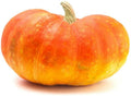 Cinderella Pumpkin Seeds - 20 Count - Heirloom Variety - Cucurbita pepo