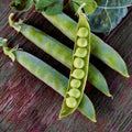 Green Arrow English Pea Seeds | 30 Non-GMO Garden Vegetable Seeds | Pod Variety | Pisum sativum