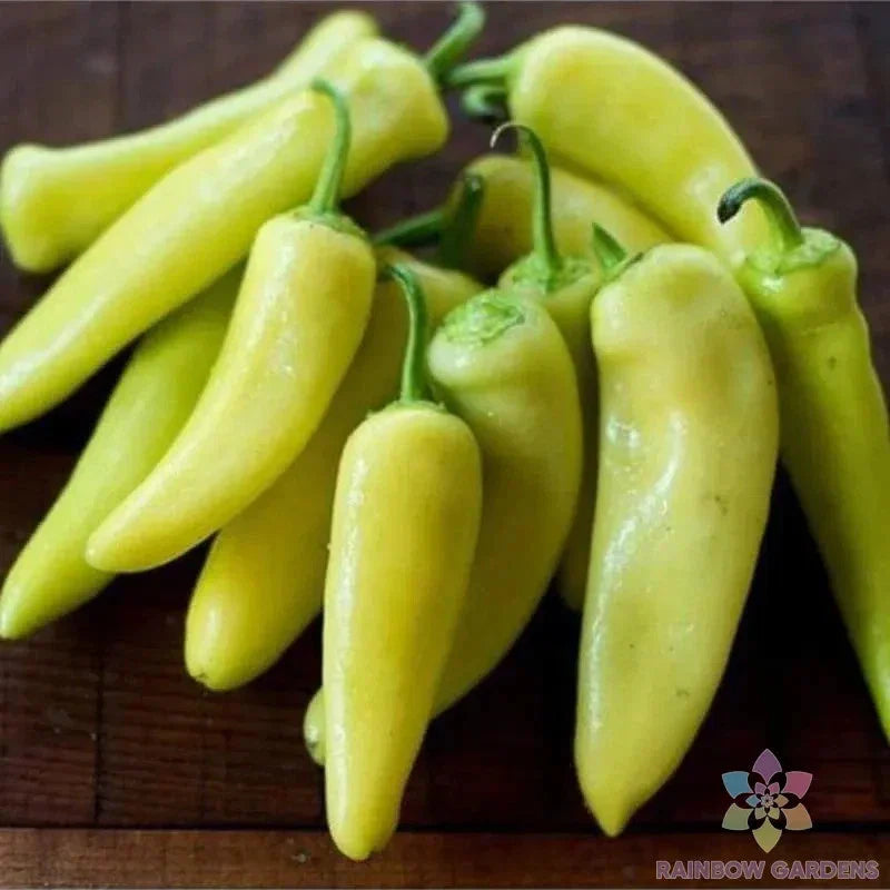 Hungarian Yellow Hot Wax Pepper Seeds - 25+ Pack - Capsicum annuum - Ideal for Gardening - USA Grown, Free Shipping