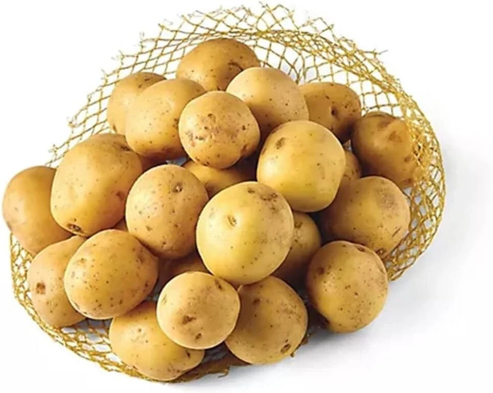 Vista Gold Mini Seed Potatoes for Planting - Small Size - Yellow Skin Variety - Solanum tuberosum