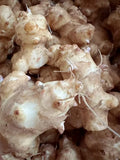 Sunchoke Tubers for Planting - Jerusalem Artichoke - Helianthus tuberosus - Organic, Non-GMO, Edible Perennial Vegetable