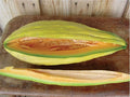 Heirloom Cantaloupe Seeds - Banana Melon, Sweet Musk, 20-100 Seeds, Rare Variety, Cucumis melo