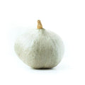 Blue Ballet Squash Seeds - 25+ Pack - Heirloom Variety - Cucurbita pepo - Garden Planting - USA