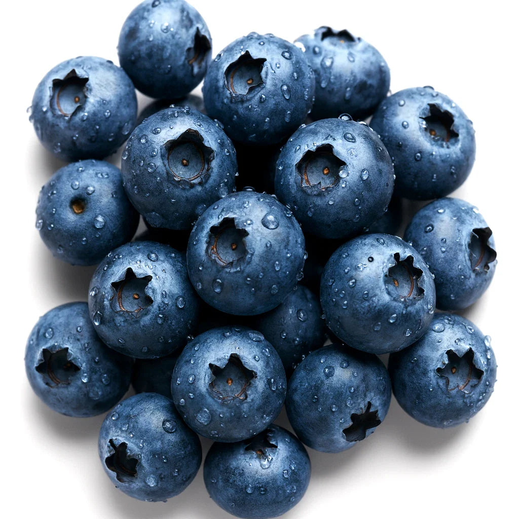 European Blueberry Seeds - 200 Bilberry Autumn Low Bush - Vaccinium myrtillus - Rare Sweet Variety, Free Shipping