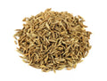 Cumin Herb Seed - 500+ Fresh Seeds - Cuminum cyminum - Culinary Spice for Home Garden