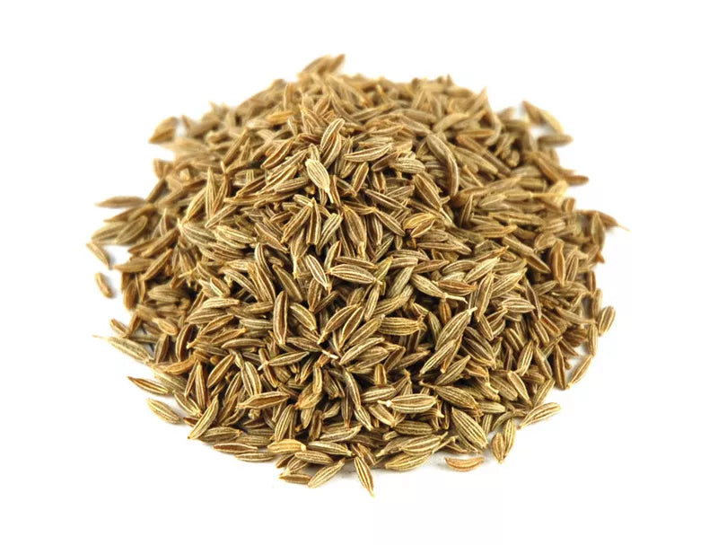 Cumin Herb Seed - 500+ Fresh Seeds - Cuminum cyminum - Culinary Spice for Home Garden