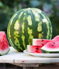 Crimson Watermelon Seeds - 30+ Seeds - Heirloom Variety - Citrullus lanatus - Grown in USA, Ships from Iowa