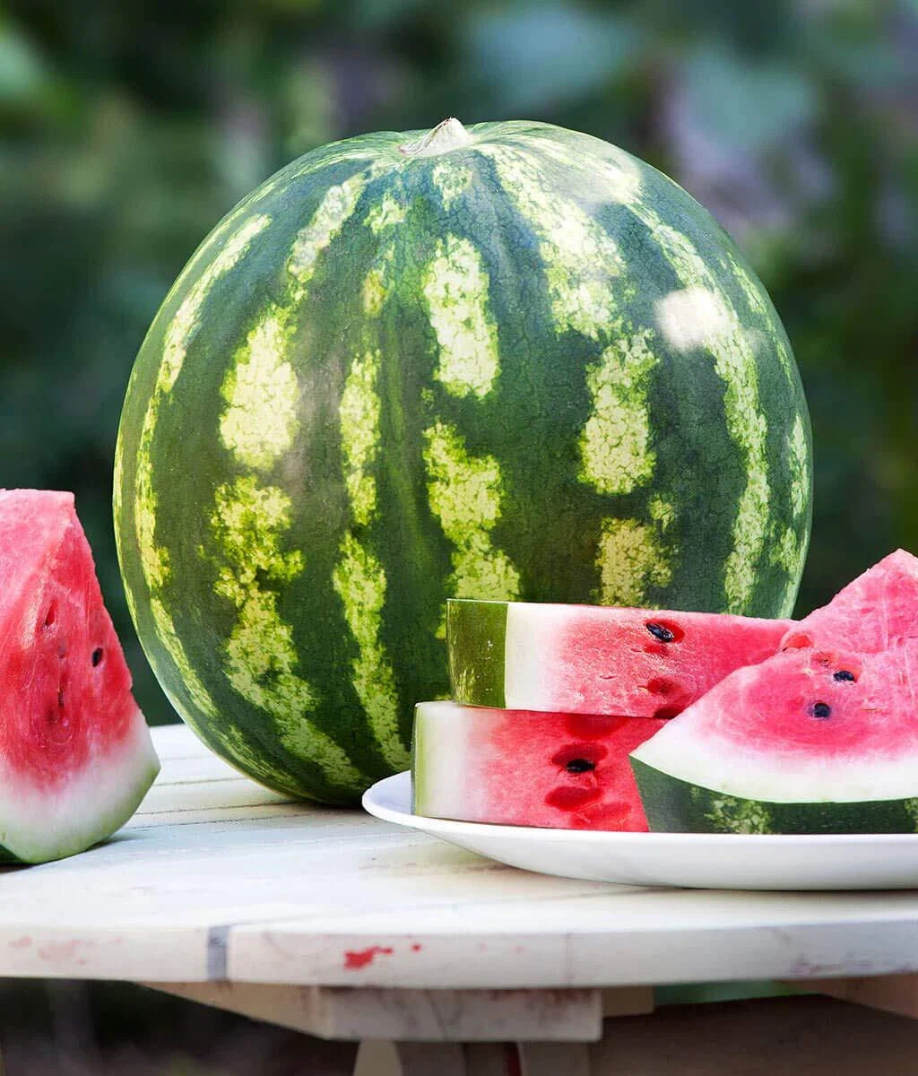 Crimson Watermelon Seeds - 30+ Seeds - Heirloom Variety - Citrullus lanatus - Grown in USA, Ships from Iowa