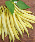 Golden Wax Bean Seeds | 50+ Seeds | Heirloom Variety | Phaseolus vulgaris | Made in USA, Ships from Iowa